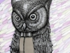 hornedowlcloseupweb